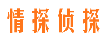 凤城市私家侦探公司